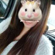 ヒメ日記 2025/05/17 10:43 投稿 かなみ すごいエステ京都店