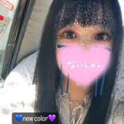 ヒメ日記 2025/12/29 15:10 投稿 ラテ 浜松ハンパじゃない学園