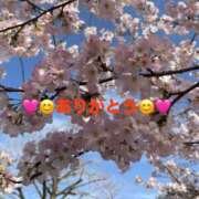 ヒメ日記 2025/05/22 14:16 投稿 漆畑 愛美 こあくまな熟女たち 静岡店（KOAKUMAグループ）