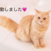 ヒメ日記 2025/05/29 09:19 投稿 漆畑 愛美 こあくまな熟女たち 静岡店（KOAKUMAグループ）