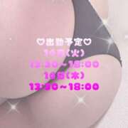 ヒメ日記 2025/10/09 19:15 投稿 みく 丸妻 新横浜店