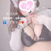 ヒメ日記 2026/02/03 08:13 投稿 みく 丸妻 新横浜店