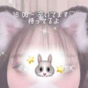 ヒメ日記 2026/02/03 13:56 投稿 みく 丸妻 新横浜店