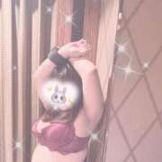 ヒメ日記 2026/02/17 07:20 投稿 みく 丸妻 新横浜店