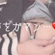 ヒメ日記 2026/02/23 08:56 投稿 みく 丸妻 新横浜店