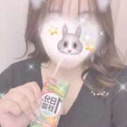 ヒメ日記 2026/02/24 10:42 投稿 みく 丸妻 新横浜店