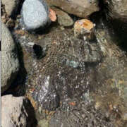 ヒメ日記 2025/05/11 15:00 投稿 うい 奥鉄オクテツ東京店（デリヘル市場）