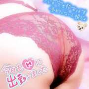 ヒメ日記 2025/07/03 11:55 投稿 さやか【業界未経験】 茨城水戸ちゃんこ