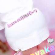 ヒメ日記 2025/07/08 15:45 投稿 さやか【業界未経験】 茨城水戸ちゃんこ