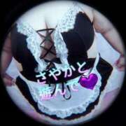 ヒメ日記 2025/07/11 12:25 投稿 さやか【業界未経験】 茨城水戸ちゃんこ