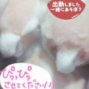 ヒメ日記 2025/07/24 11:55 投稿 さやか【業界未経験】 茨城水戸ちゃんこ