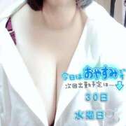 ヒメ日記 2025/07/29 12:25 投稿 さやか【業界未経験】 茨城水戸ちゃんこ