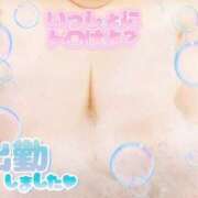 ヒメ日記 2025/08/11 11:55 投稿 さやか【業界未経験】 茨城水戸ちゃんこ