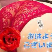 ヒメ日記 2025/09/08 10:05 投稿 さやか【業界未経験】 茨城水戸ちゃんこ