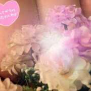 ヒメ日記 2025/10/14 15:25 投稿 さやか【業界未経験】 茨城水戸ちゃんこ