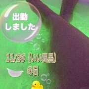 ヒメ日記 2025/11/26 11:35 投稿 さやか【業界未経験】 茨城水戸ちゃんこ