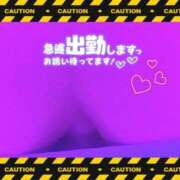 ヒメ日記 2025/12/02 12:45 投稿 さやか【業界未経験】 茨城水戸ちゃんこ