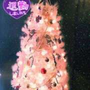 ヒメ日記 2025/12/23 22:02 投稿 さやか【業界未経験】 茨城水戸ちゃんこ