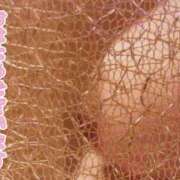 ヒメ日記 2025/12/29 09:45 投稿 さやか【業界未経験】 茨城水戸ちゃんこ