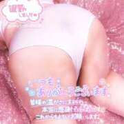 ヒメ日記 2025/12/30 15:35 投稿 さやか【業界未経験】 茨城水戸ちゃんこ