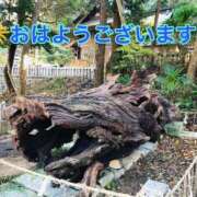 ヒメ日記 2026/01/18 10:13 投稿 さやか【業界未経験】 茨城水戸ちゃんこ