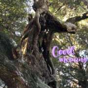 ヒメ日記 2026/01/25 08:15 投稿 さやか【業界未経験】 茨城水戸ちゃんこ