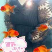 ヒメ日記 2026/02/03 20:35 投稿 さやか【業界未経験】 茨城水戸ちゃんこ