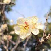 ヒメ日記 2026/02/06 16:45 投稿 さやか【業界未経験】 茨城水戸ちゃんこ