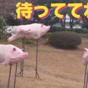 ヒメ日記 2026/02/09 19:08 投稿 さやか【業界未経験】 茨城水戸ちゃんこ
