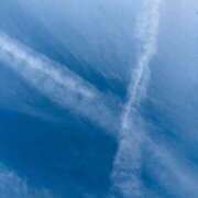 ヒメ日記 2026/02/14 12:45 投稿 さやか【業界未経験】 茨城水戸ちゃんこ