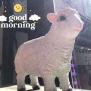 ヒメ日記 2026/02/20 09:15 投稿 さやか【業界未経験】 茨城水戸ちゃんこ