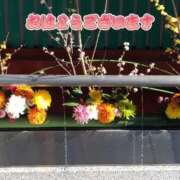 ヒメ日記 2026/03/01 08:45 投稿 さやか【業界未経験】 茨城水戸ちゃんこ