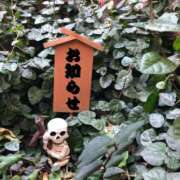 ヒメ日記 2026/03/03 13:35 投稿 さやか【業界未経験】 茨城水戸ちゃんこ