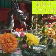 ヒメ日記 2026/03/10 10:05 投稿 さやか【業界未経験】 茨城水戸ちゃんこ