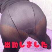 ヒメ日記 2026/03/14 16:05 投稿 さやか【業界未経験】 茨城水戸ちゃんこ