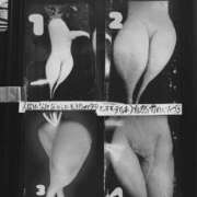 ヒメ日記 2026/03/14 17:15 投稿 さやか【業界未経験】 茨城水戸ちゃんこ