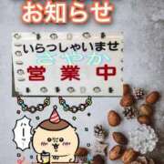 ヒメ日記 2026/03/15 12:55 投稿 さやか【業界未経験】 茨城水戸ちゃんこ