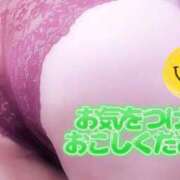 ヒメ日記 2026/03/20 18:25 投稿 さやか【業界未経験】 茨城水戸ちゃんこ