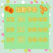 ヒメ日記 2026/03/22 14:23 投稿 さやか【業界未経験】 茨城水戸ちゃんこ