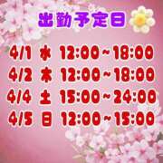 ヒメ日記 2026/03/28 18:35 投稿 さやか【業界未経験】 茨城水戸ちゃんこ