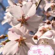 ヒメ日記 2026/04/08 11:55 投稿 さやか【業界未経験】 茨城水戸ちゃんこ