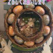 ヒメ日記 2026/04/08 18:35 投稿 さやか【業界未経験】 茨城水戸ちゃんこ