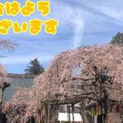 ヒメ日記 2026/04/12 07:15 投稿 さやか【業界未経験】 茨城水戸ちゃんこ