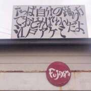 ヒメ日記 2026/04/28 21:55 投稿 さやか【業界未経験】 茨城水戸ちゃんこ