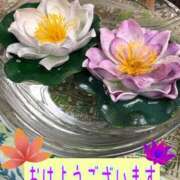 ヒメ日記 2026/05/05 10:49 投稿 さやか【業界未経験】 茨城水戸ちゃんこ