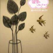 ヒメ日記 2026/05/13 20:45 投稿 さやか【業界未経験】 茨城水戸ちゃんこ
