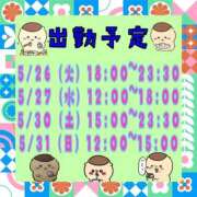 ヒメ日記 2026/05/23 13:48 投稿 さやか【業界未経験】 茨城水戸ちゃんこ