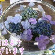 ヒメ日記 2026/06/22 08:45 投稿 さやか【業界未経験】 茨城水戸ちゃんこ