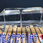 ヒメ日記 2026/07/15 08:15 投稿 さやか【業界未経験】 茨城水戸ちゃんこ