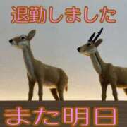 ヒメ日記 2026/08/26 00:15 投稿 さやか【業界未経験】 茨城水戸ちゃんこ